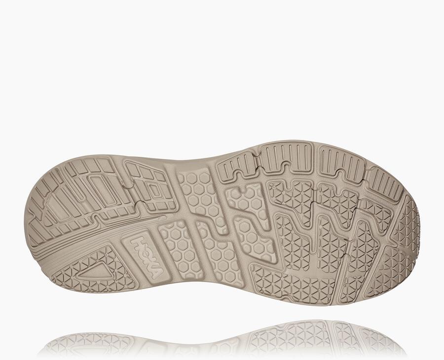 All Gender X Eg Bondi L